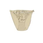 Şahinler Bayan Dantelli Bikini B073 - Ten - S