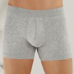 Şahinler E031 Gri Likralı Erkek Boxer Külot