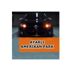 SAHLAN Nkt Group Ayarlı Amerikan Park Sinyal Modülü Otomatik Sistem Park Modülü