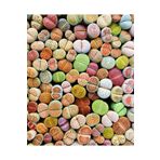 SAHRAFLORA Kaktüs - Taş Kaktüs - Lithops ( Karışık 30'lu Yetişkin Set )