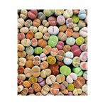 SAHRAFLORA Taş Kaktüs - Lithops ( Karışık 5'li Yetişkin Set )