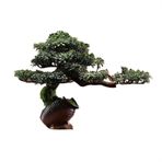 sahte bitkiler İç Mekan Giriş Bocage Dekorasyon Simülasyonu Ağaç Bonsai Yeşillik Süsleri Yapay Saksı Bitkileri Manzara yapay bitkiler kapalı