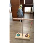 SAKAPET Ahşap Papağan Tüneği T Tünek Extra Akıl Oyunlu ('MUHABBET KUŞU , CENNET , FORPUS, SEVDA PAPAĞANI ')