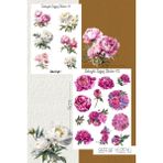 Şakayık Çiçeği Temalı Şeffaf Sticker Seti 01-02 Ajanda Planlayıcı Bullet Journal Için Uygundur - Renkli - Yarı Şeffaf - 10,5x14,8cm