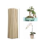 Saksı Bitkileri Destek Çubuğu 35 Cm 50 AD