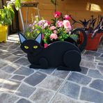 Saksı Bitkileri için Benzersiz Siyam Kedi Bitki Saksısı, İç ve Dış Mekan İçin Uygun Reçine Pano Malzemesi, Dekoratif Bahçe ve Balkon Aksesuarı (Kara Kedi)