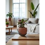 Saksı – Drenaj Tabağı ile Modern Tasarım Kahverengi