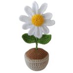Saksıda Papatya Amigurumi Organik Oyuncak