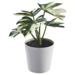 Saksılı yapay bitki, yeşil, 6 cm, monstera