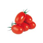 Saksılık Zeytin Domates Tohumu + Süpriz Hediye Tohum