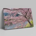 Sakura Ağacı 50 x 70 Kanvas Tablo