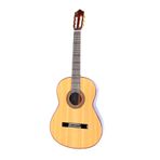 Sala Müzik Mikrotonal Klasik Gitar kg