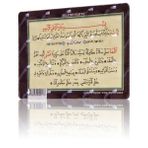 Salaten Nariye (Magnet)