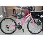 Salcano Excel 24 Lady V Fren 21 Vites 24 Jant Dağ Bisikleti Pudra Pembe