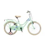Salcano Flyer 20 V Fren 20 Jant Mint Yeşili Mavi Çocuk Bisikleti
