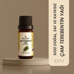 Saldives Çam Terebentin 10 ml - Sarı