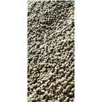 Salep Fidesi, Tohumu, Yıkanmamış, Dikime Hazır YUMRU (10 ADET) 1254212312302
