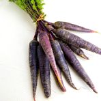 Şalgamlık Mor Siyah Havuç Tohumu-10 Gram