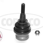 Salıncak Alt Rotıl A4 08 12 A4 Allroad Quattro 10 16 A5 08 11 A6 A7 11 14 Q5 09 12 Corteco-49398755