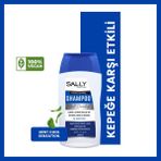 Sally Profesyonel Seri Antidandruff Kepeğe Karşı Etkili 200 ml Şampuan