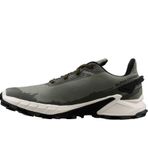 Salomon Alphacross 4 Gore-Tex erkek koşu ayakkabısı, güçlü tutuş, su geçirmez, her hava koşuluna karşı koruma, sürekli konfor, Deep Lichen Green Vanilya Buz Zeytin Gecesi, 45 1/3 EU