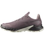 Salomon ALPHACROSS 5 GTX W Mor Kadın Koşu Fitness Ayakkabı