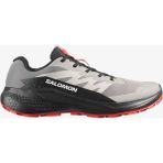 Salomon Alphaglıde Erkek Koşu Ayakkabısı Cloudburst L48000800 - Pembe
