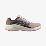Salomon Alphaglide Gore-Tex Kadın Koşu Ayakkabısı L47857900