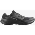 Salomon Alphaglide GTX Erkek Koşu Ayakkabısı L47802100