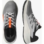 Salomon Alphaglide GTX Erkek Koşu Ayakkabısı L47975300