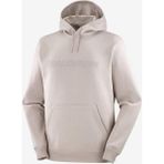 Salomon Big Logo Hoodie Erkek Sweatshirt - Çok Renkli
