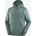 Salomon Big Logo Hoodie Erkek Yeşil Sweatshirt - XL - Çok Renkli