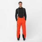 Salomon Brilliant Pant Erkek Kayak Pantolonu - Renkli