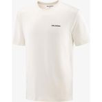 Salomon Chest Logo Regular Erkek Tişört Whisper White LC2675800 - Krem