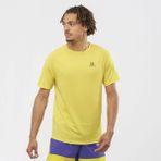 Salomon Cross Run SS Tee M Sarı Erkek T-Shirt