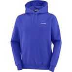 Salomon EQUIPE HOODIE Erkek Sweatshirt Surf The Web LC2849200 - Mavi