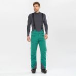 Salomon Force Erkek Kayak Pantolonu - Yeşil