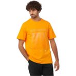 Salomon Graphıc Ss M Erkek T-Shirt LC2247000 Sarrı - XL - Sarı
