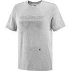 Salomon Graphic SS Tee Gri Erkek T-shirt