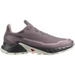 Salomon L47311000 Alphacross 5 GTX W Mor Kadın Koşu Spor Ayakkabı