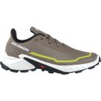 Salomon L47460100 Alphacross 5 Kahverengi Erkek Outdoor Ayakkabı