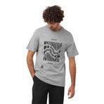 Salomon LC2219000 Running Graphic SS Tee M Gri Erkek T-shirt