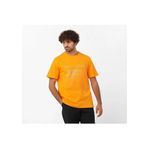 Salomon Lc2219200 Graphic Ss Tee M Kahverengi Erkek T-Shirt