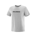 Salomon Lc2245 Sal Logo Perf Ss Tee Tişört Erkek T-shirt Gri