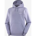 Salomon Logo Hoodie Erkek Sweatshirt - 2XL - Çok Renkli