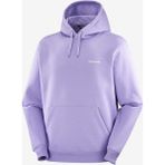 Salomon Logo Hoodie Erkek Sweatshirt - Çok Renkli