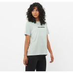 Salomon LOGO Kadın Tişört MISTY BLUE LC2368600 - Mavi
