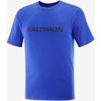 Salomon LOGO PERFORMANCE Erkek Tişört Surf The Web LC2102400 - Mavi