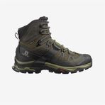Salomon Quest 4 Gore-Tex Erkek Bot