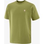 Salomon Round Logo Graphıc Erkek Tişört Cardamon Seed LC2845000 - XL - Yeşil